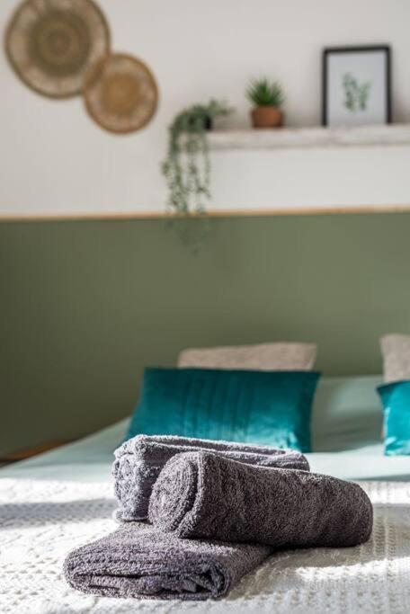 Apartamento Le Zenith Spacieux Et Saint-Etienne (Loire)